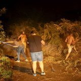 Des résidents tentent de nettoyer la forêt pour la protéger des flammes à La Orotava, à Tenerife.